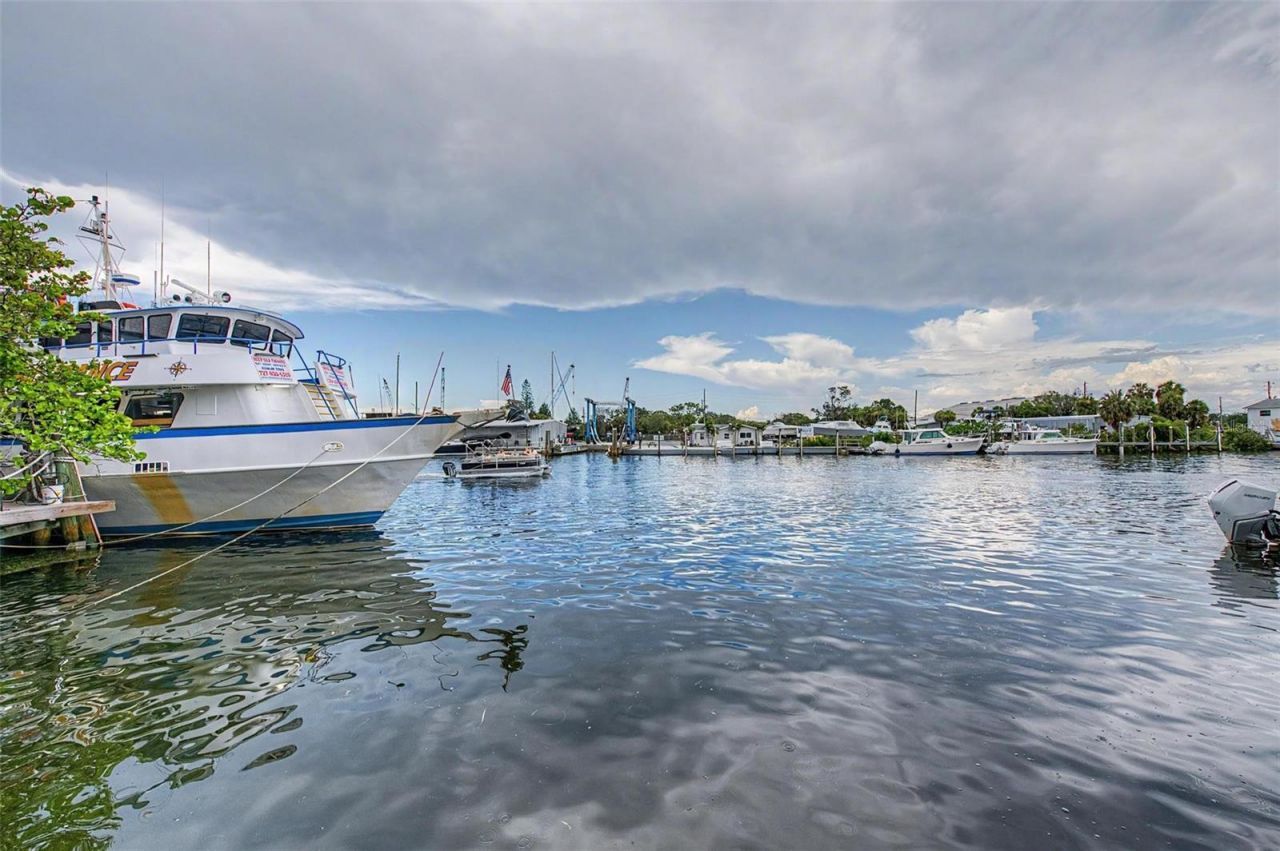 704 Bayshore Drive, Tarpon Springs, FL 34689 Photo