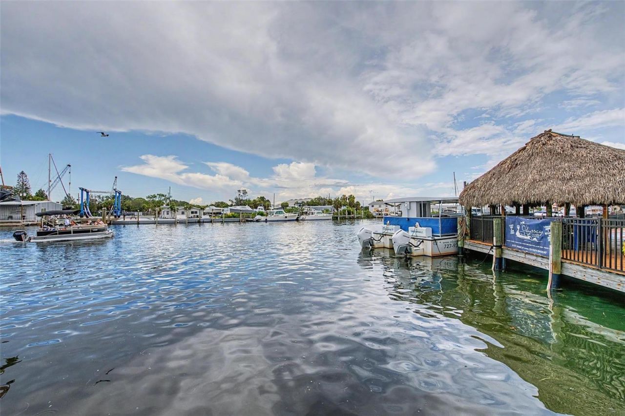 704 Bayshore Drive, Tarpon Springs, FL 34689 Photo