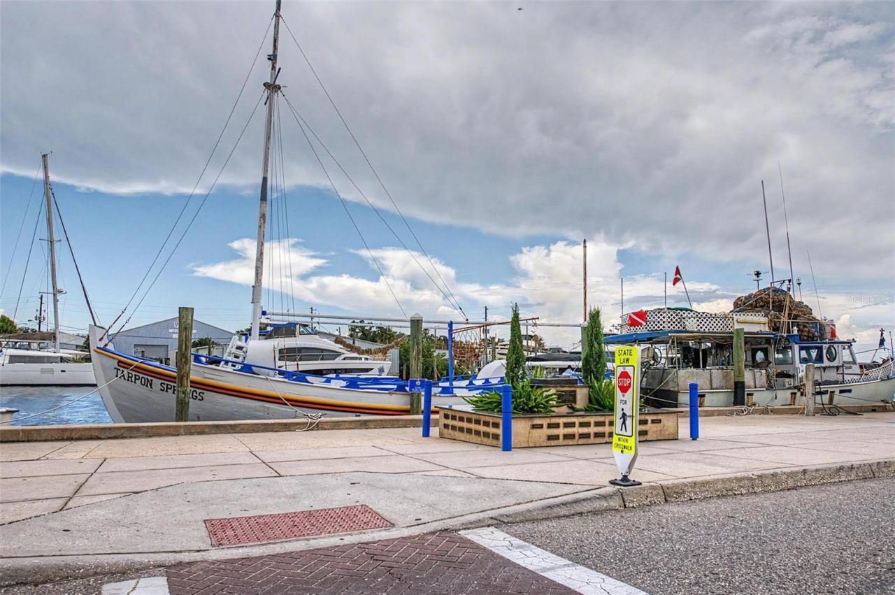 704 Bayshore Drive, Tarpon Springs, FL 34689 Photo