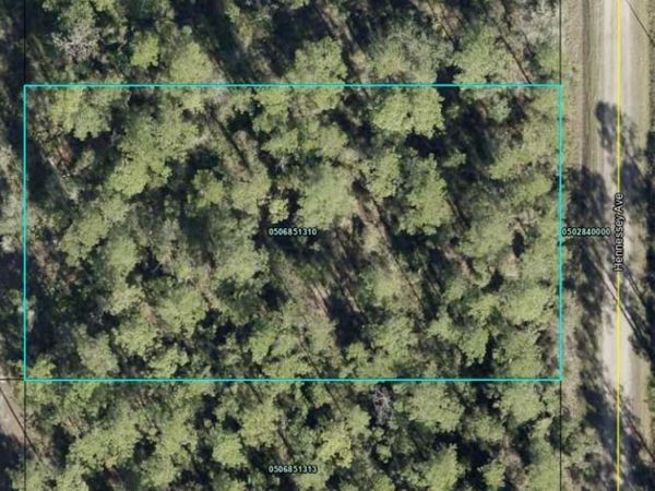 10515 HENNESSEY AVENUE , HASTINGS, FL 32145