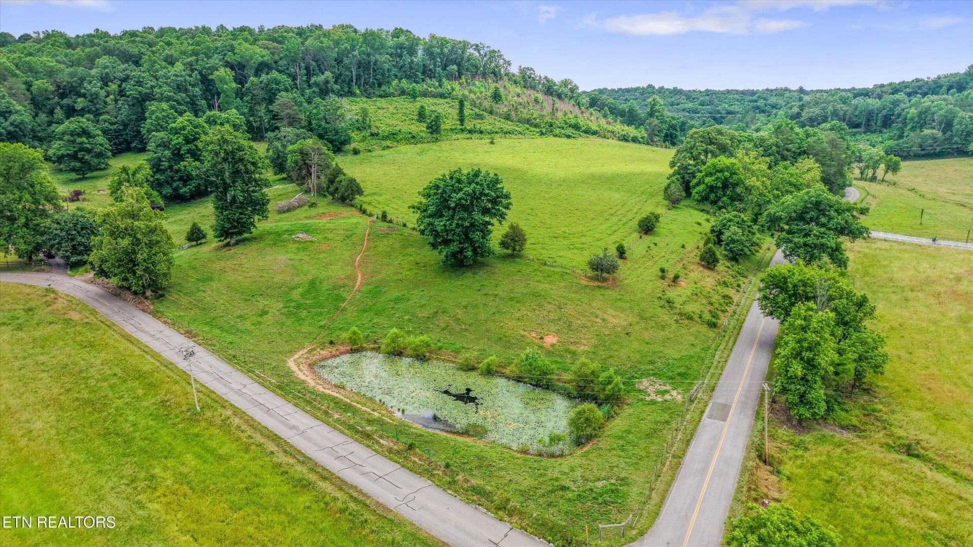 19.2 Acres County Road 50, Riceville, TN 37370 Main Photo