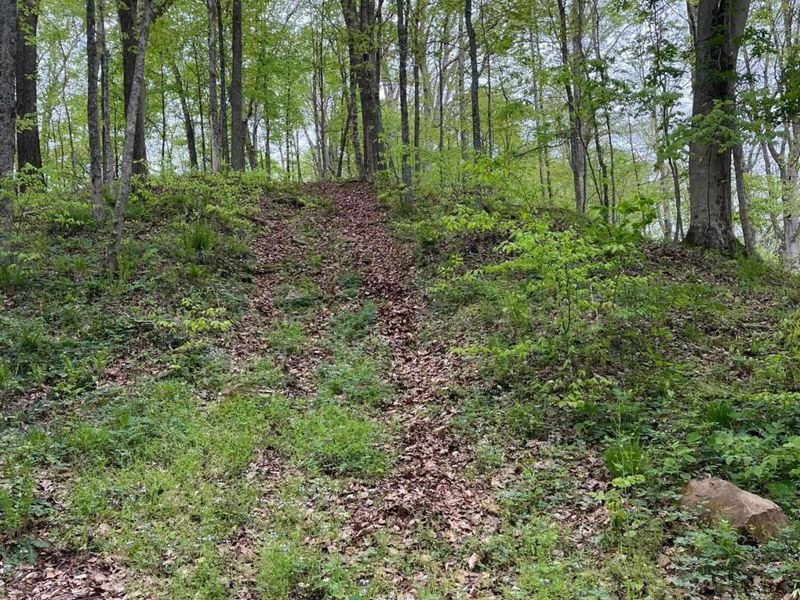 41060 Dawley New Pittsburg Road , Nelsonville, OH 45764 Photo 3