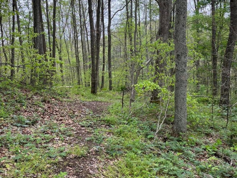 41060 Dawley New Pittsburg Road , Nelsonville, OH 45764 Photo 4