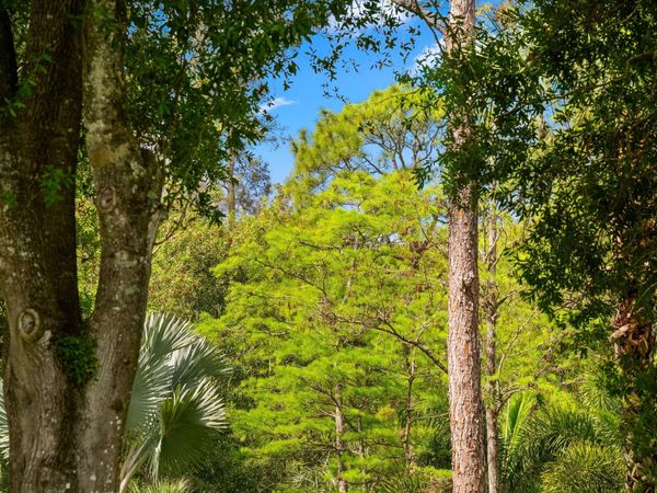 Tbd F Road, Loxahatchee Groves, FL 33470