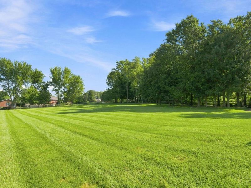 8180 New Haven Road, Crosby Township, OH 45030 Photo 49