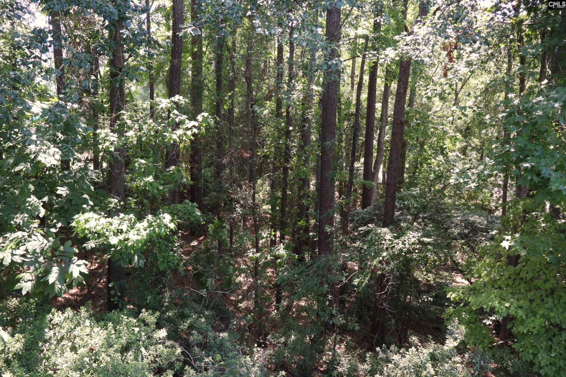 175 Hulon Greene Place  Photo 5