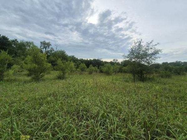 lot 1 S Irish Lane , Custer Park, IL 60481