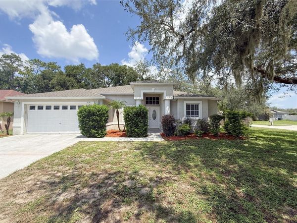 1430 MONTE LAKE DRIVE , VALRICO, FL 33596