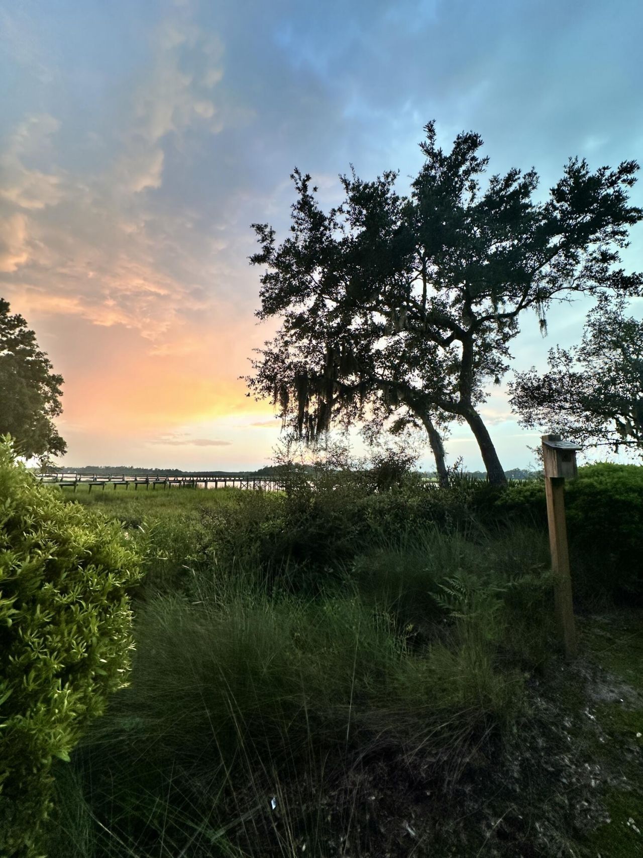 11 Rising Tide Drive Photo 49