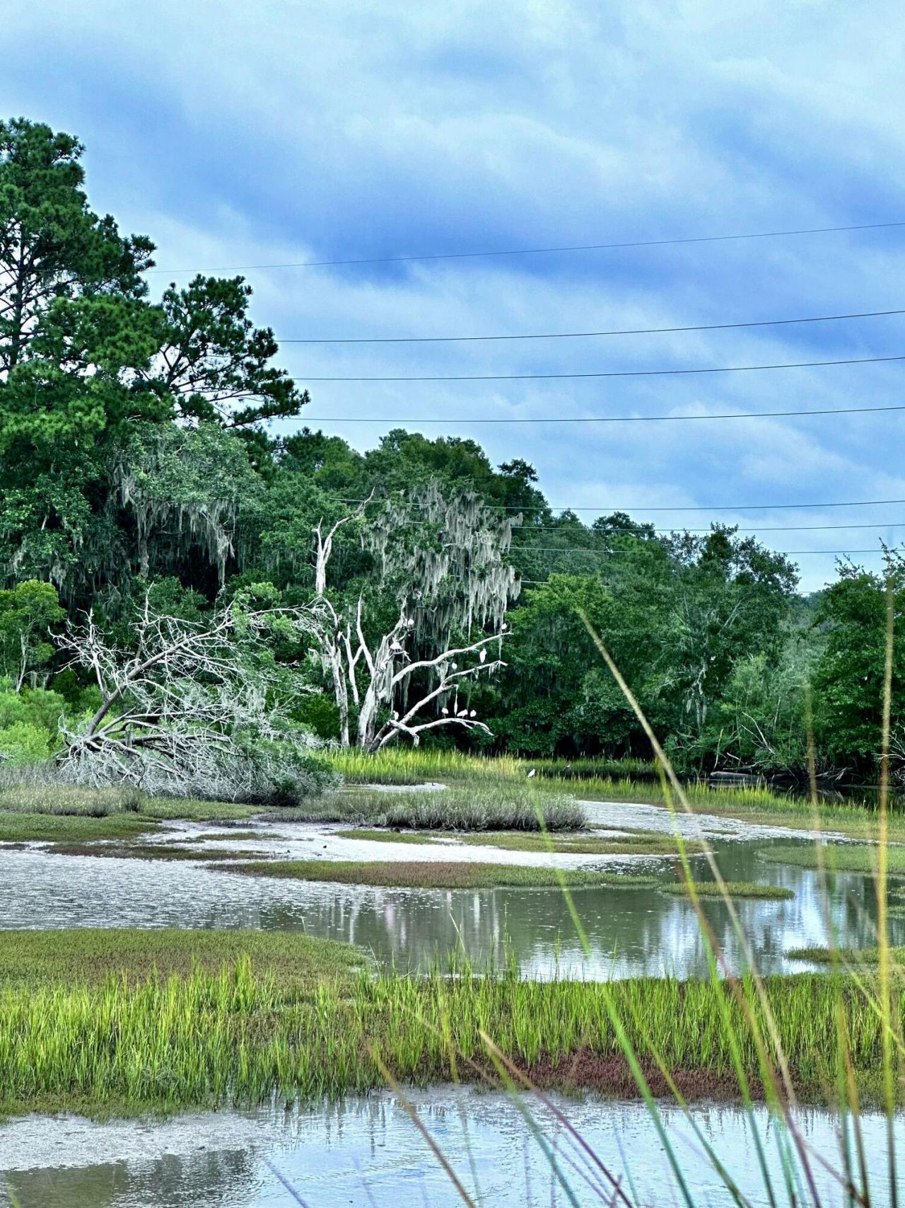 11 Rising Tide Drive Photo 5