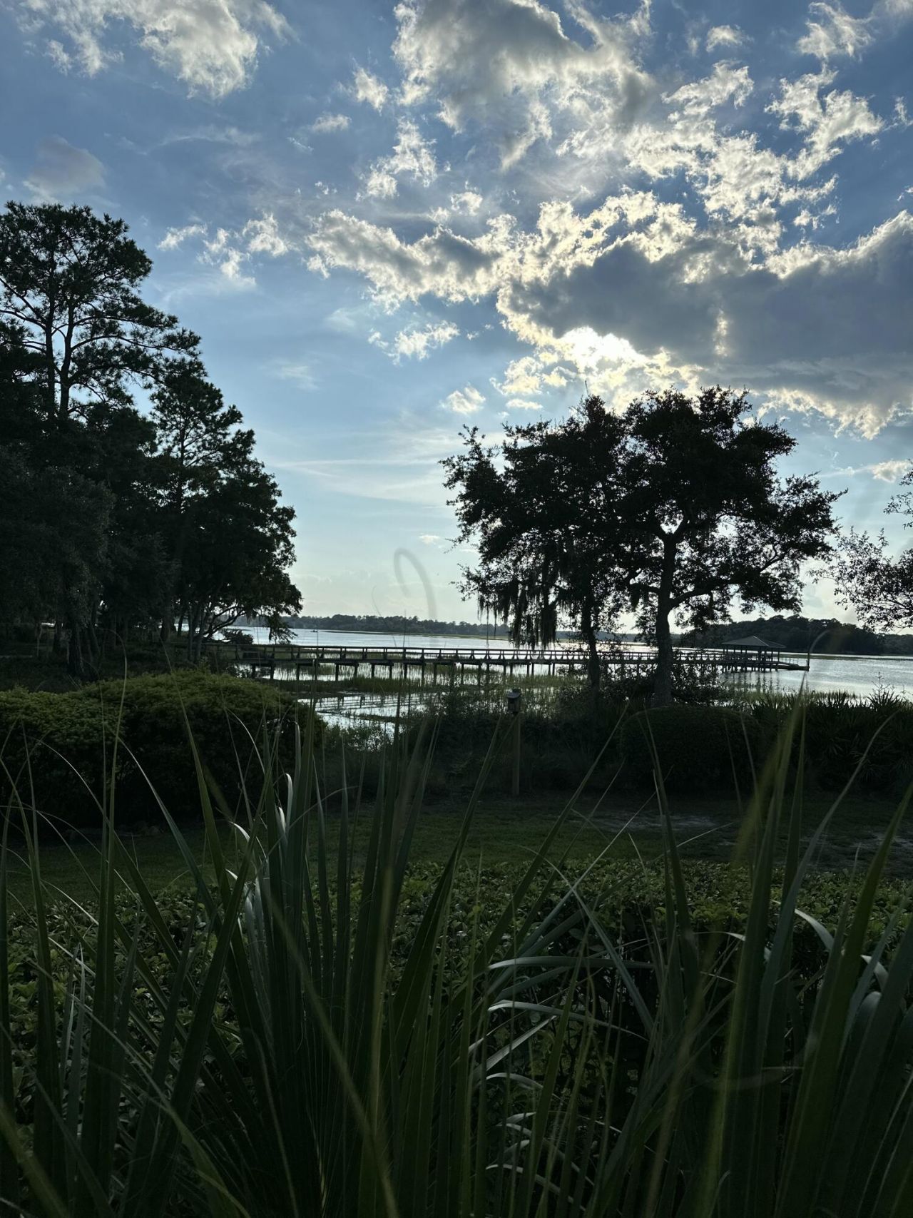 11 Rising Tide Drive Photo 51