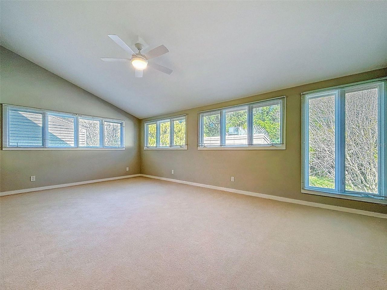 1351 Willow Brook Dr, Palm Harbor, FL 34683 Photo