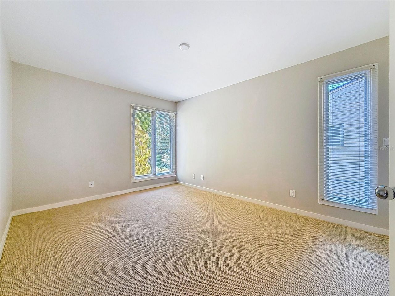 1351 Willow Brook Dr, Palm Harbor, FL 34683 Photo