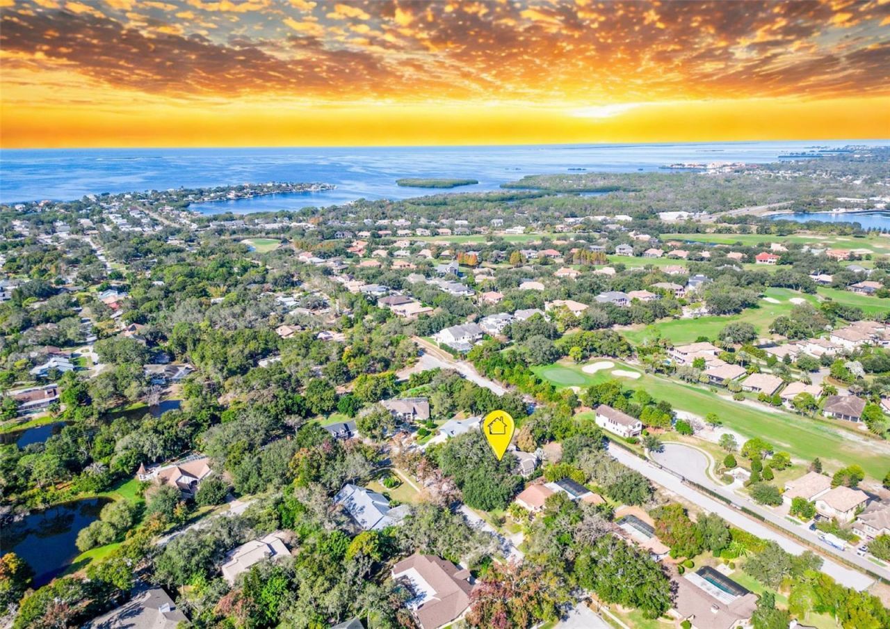 1351 Willow Brook Dr, Palm Harbor, FL 34683 Photo