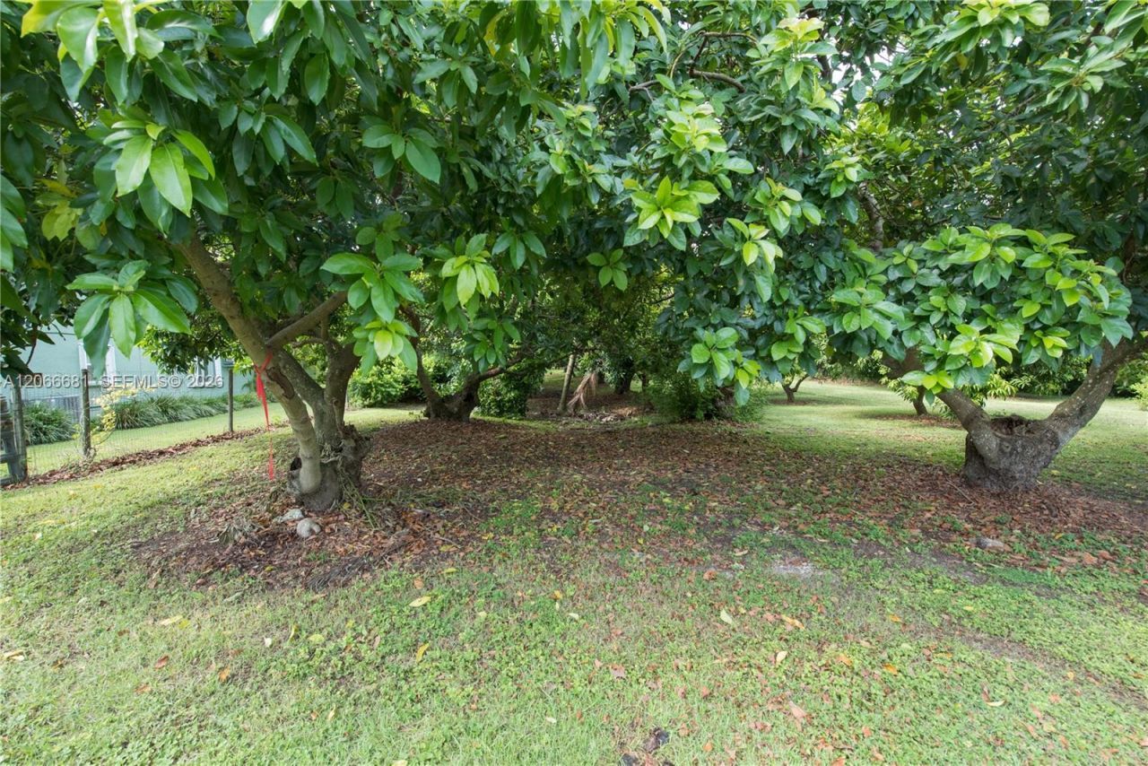 15720 SW 258th St, Homestead, FL 33031 Photo