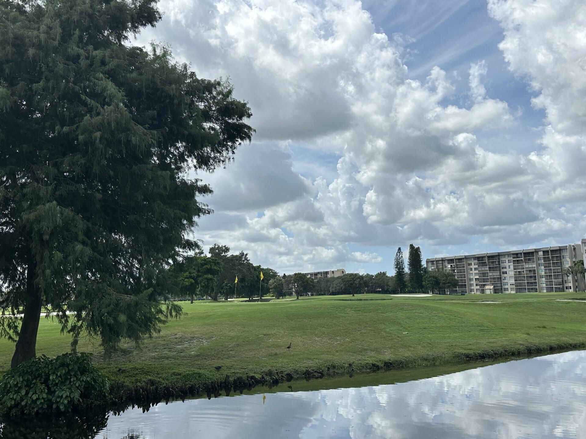 3001 W Rolling Hills Circle, Unit 709, Davie, FL 33328 Photo