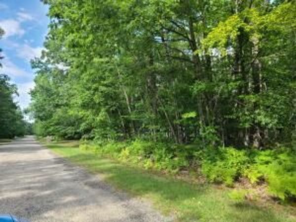 V/L Wolverine Trail, Gaylord, MI 49735