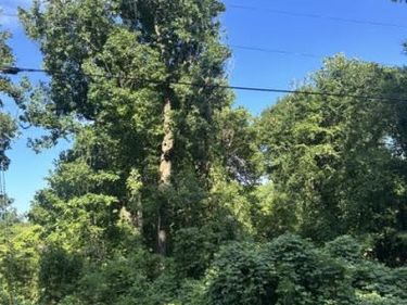 2417 National Avenue, Raleigh, NC 27610