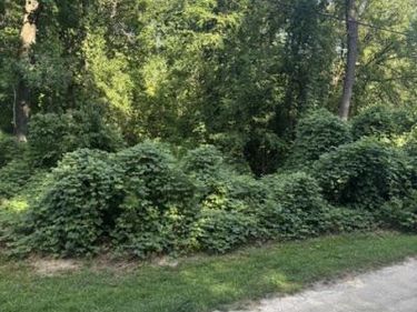 2413 National Avenue, Raleigh, NC 27610