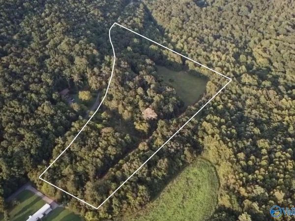 940 Bud Bryant Road, Woodville, AL 35776