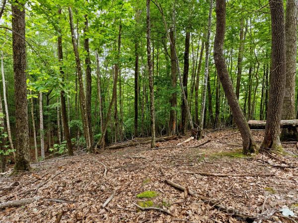 203 Sourwood Lane , Beech Mountain, NC 28604