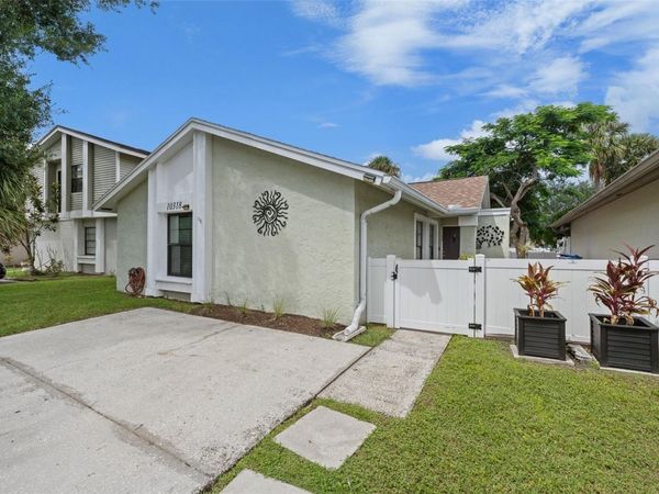 10318 ROSEMOUNT DRIVE , TAMPA, FL 33624