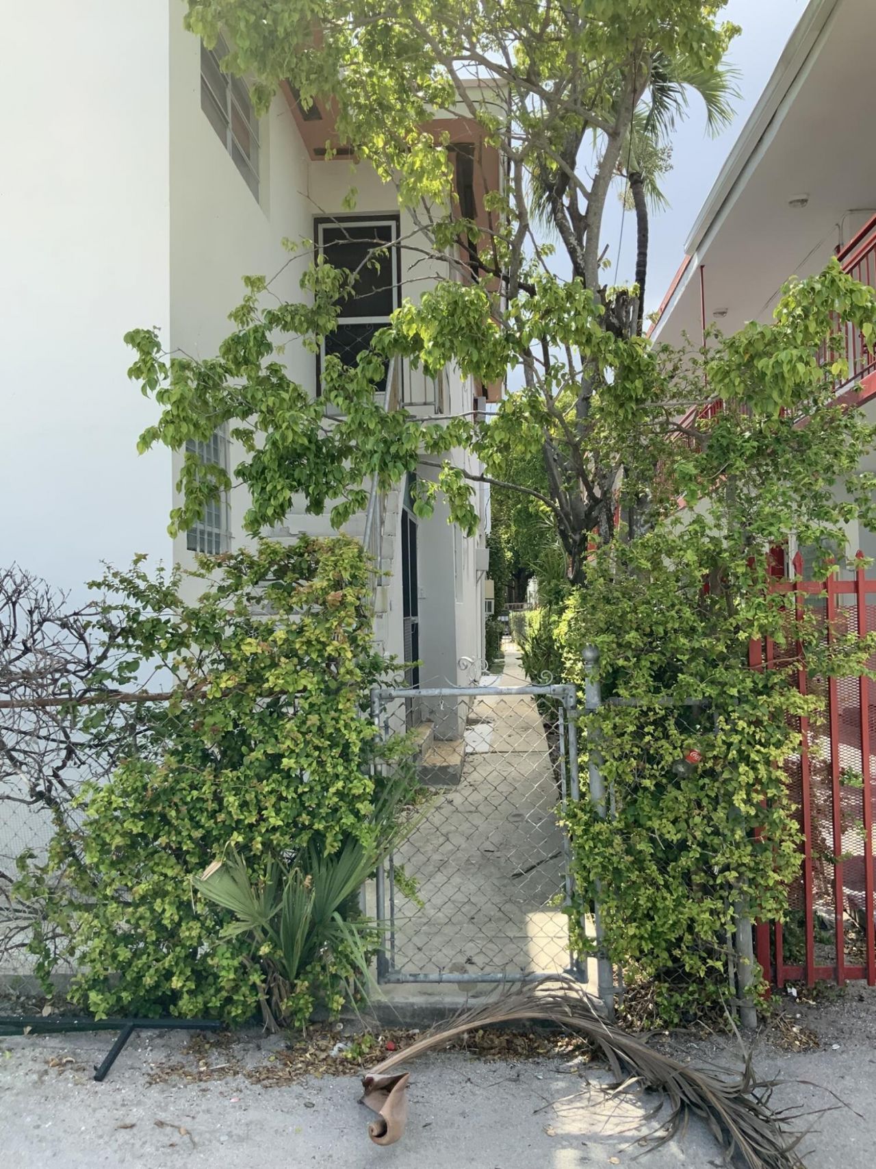 625 Michigan Avenue, Miami Beach, FL 33239 Photo