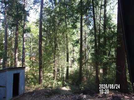 16686 Pasquale Rd, Nevada City, CA 95959 Photo