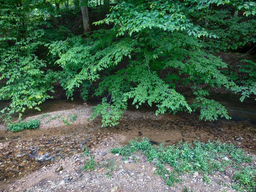 Property Image 55