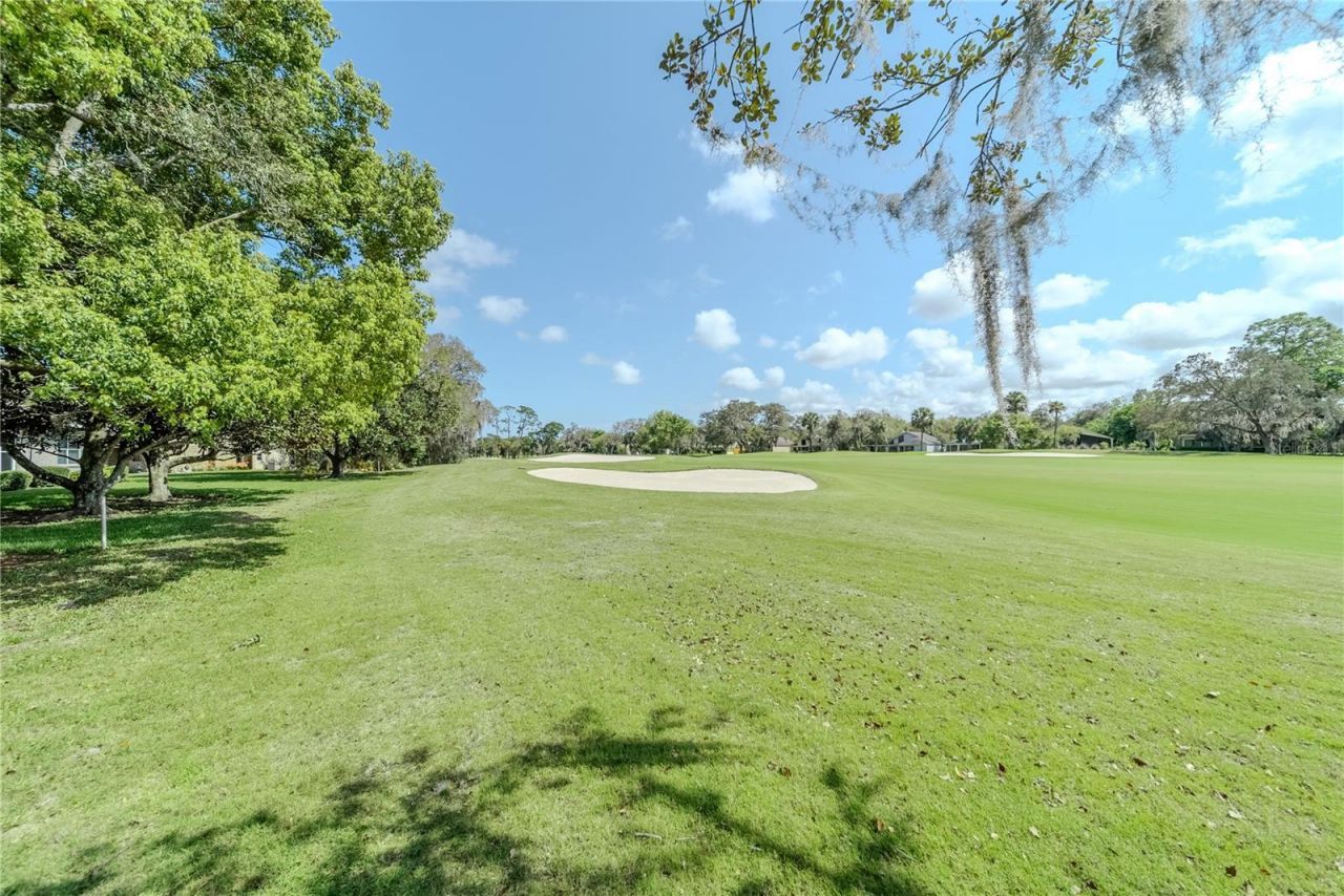 550 Bottlebrush Court , New Smyrna Beach, FL 32168 Photo