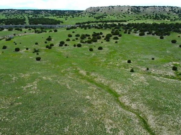Lot 110 Locomotive Ct, Rye, CO 81069