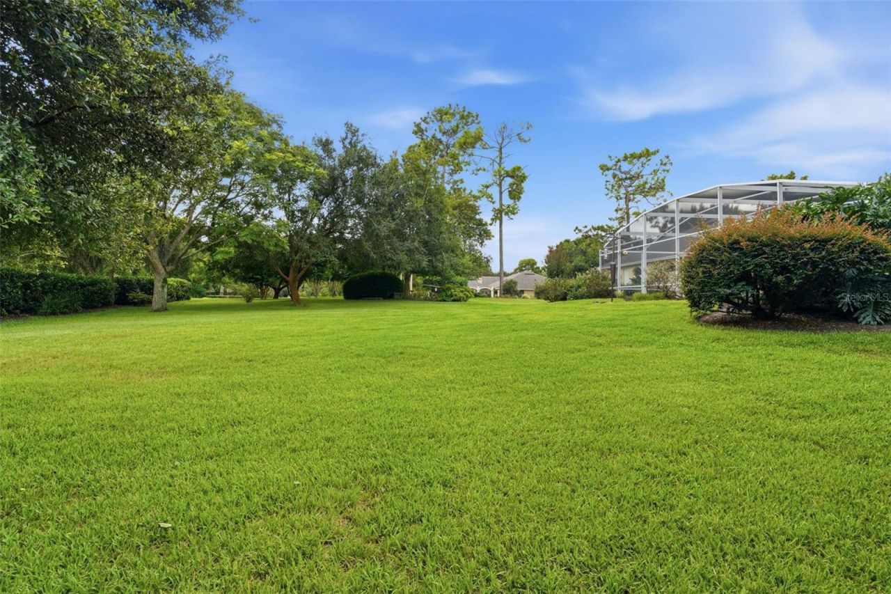 1681 Timber Edge Drive, Deland, FL 32724 Photo