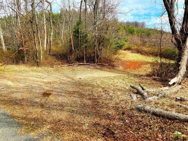 0 Burks Fork RD , Floyd, VA 24091