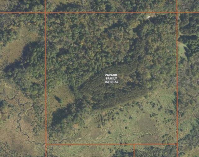 Tbd 530th Avenue , Deer Creek, MN 56527 Main Photo