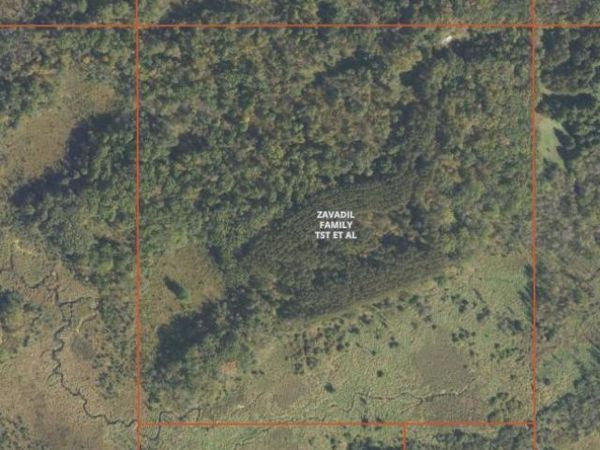 TBD 530th Avenue , Deer Creek, MN 56527