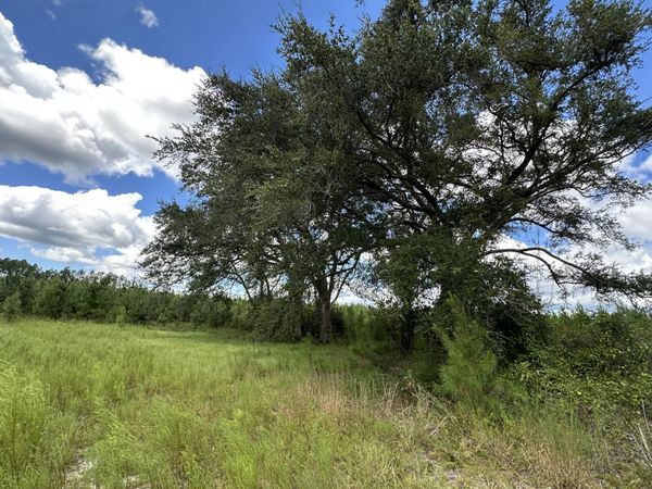 Tract#6418 N Mattox Springs Road, Caryville, FL 32427
