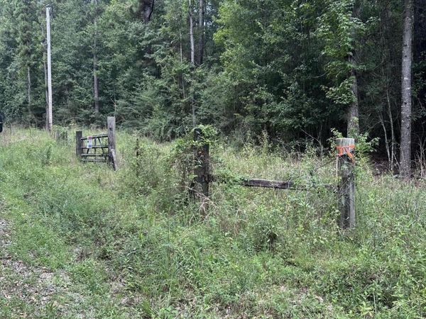 00 Baucum Road, Carriere, MS 39426