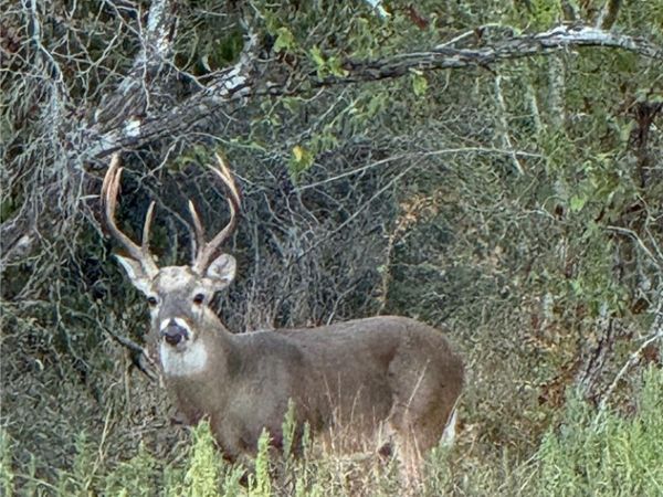 000 County Road 322, Shiner, TX 77984