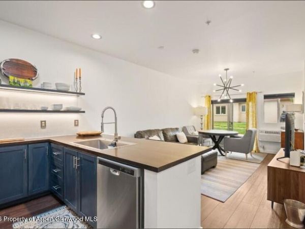 1400 E Valley Road, Unit 110, Basalt, CO 81621