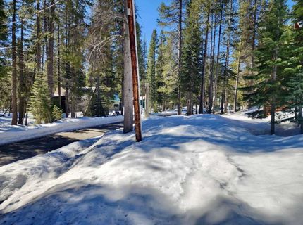 50926 Conifer Dr, Soda Springs, CA 95728 Photo