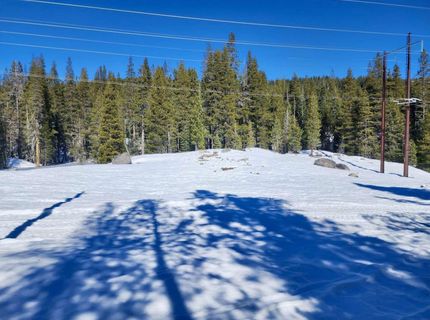 50926 Conifer Drive , Soda Springs, CA 95728 Photo