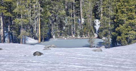 50926 Conifer Drive , Soda Springs, CA 95728 Photo