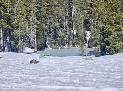50926 Conifer Drive , Soda Springs, CA 95728 Photo