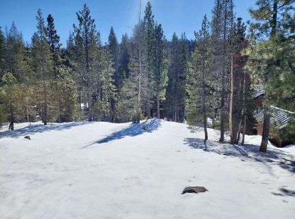 50926 Conifer Drive , Soda Springs, CA 95728 Photo