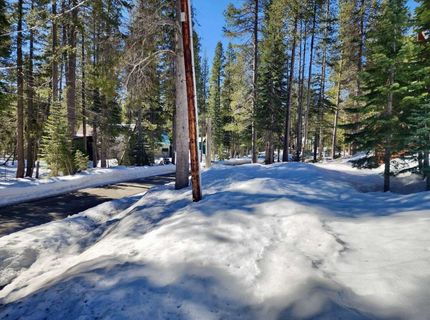 50926 Conifer Drive , Soda Springs, CA 95728 Photo