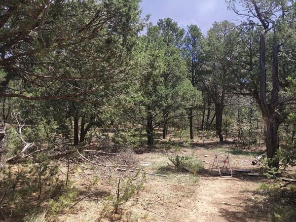 12 Quail Hollow Road, Tijeras, NM 87059