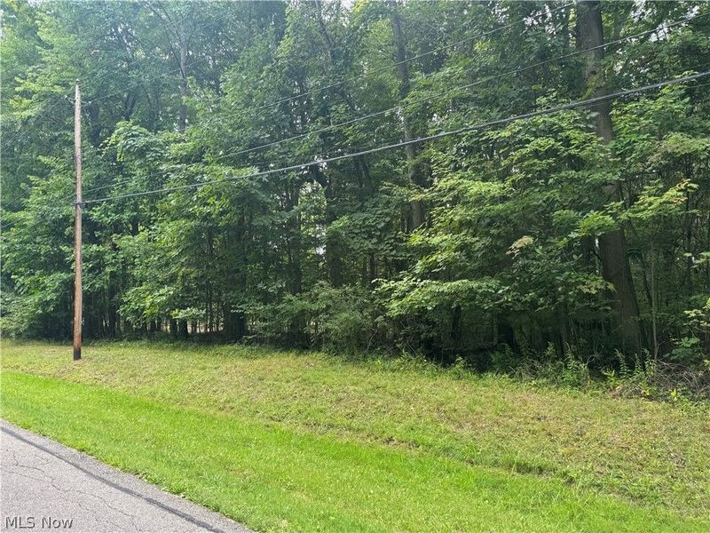 1995 Flame Lake Drive, Roaming Shores, OH 44084 Photo 1