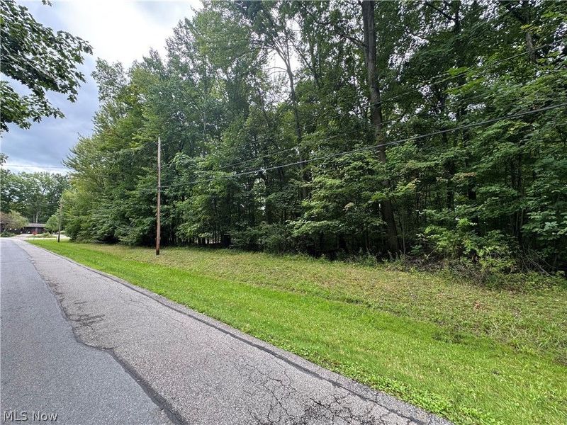 1995 Flame Lake Drive, Roaming Shores, OH 44084 Photo 2