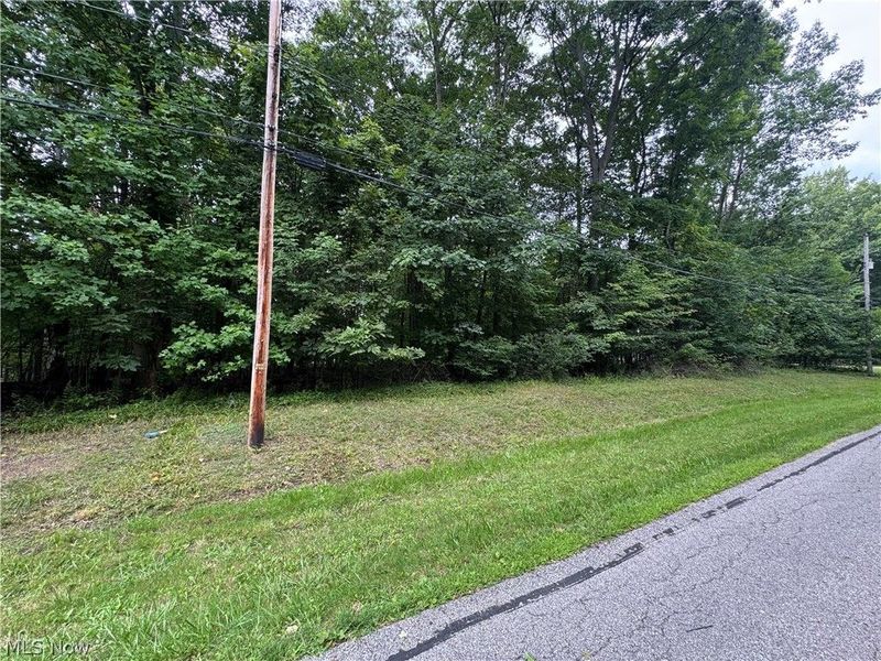 1995 Flame Lake Drive, Roaming Shores, OH 44084 Photo 3