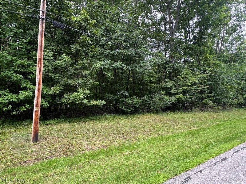 1995 Flame Lake Drive, Roaming Shores, OH 44084 Photo 4